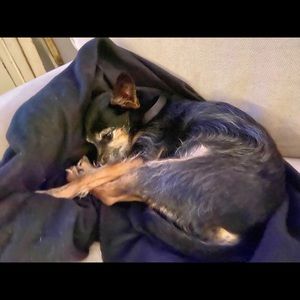 Meet your Posher, Laura